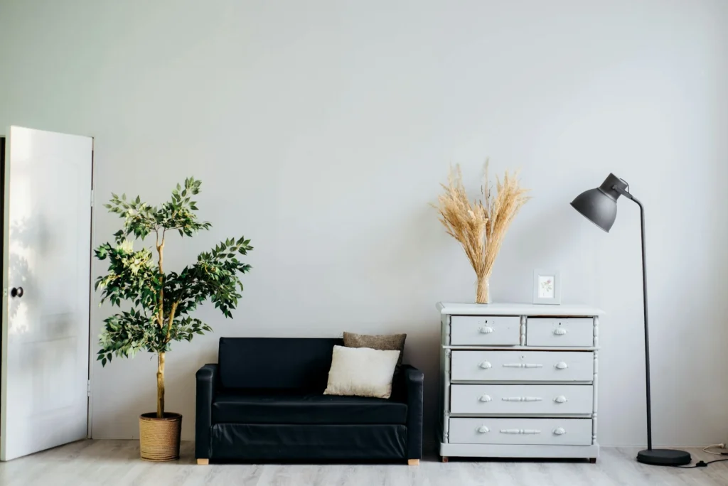 hidden storage useful for maximizing space
