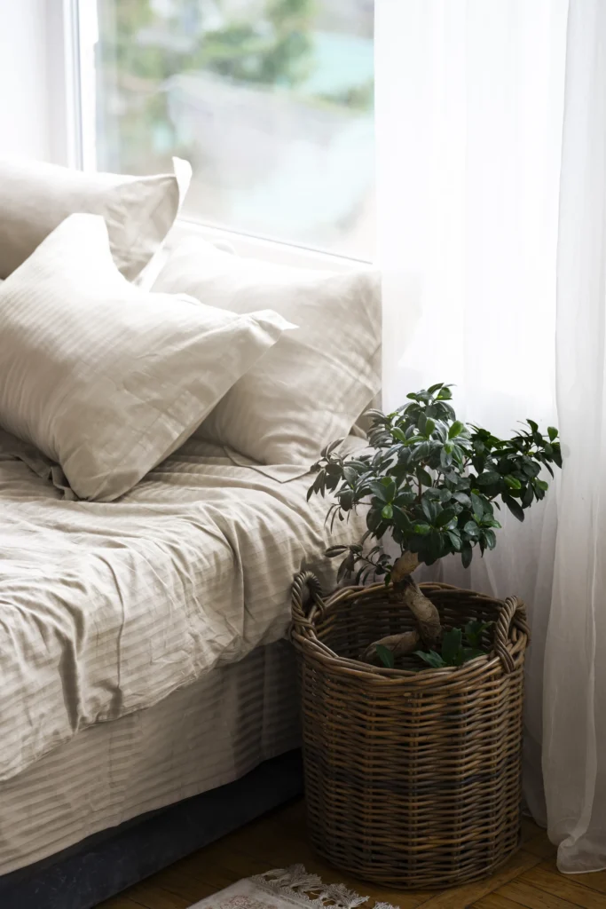 A potted plant beside bed